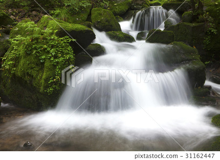 Wolgye valley, Yeongwol-gun, Gangwon-do 31162447