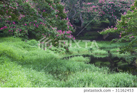 Bongong-myeon,Ook-okon,Damyang-gun,Jeonnam Bongong-myeon,Ook-okon,Damyang-gun,Jeonnam 31162453