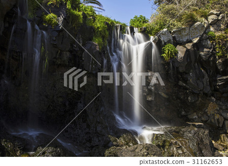 Waterfall, Jeju Island 31162653