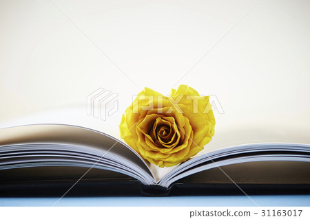 玫瑰和書籍 玫瑰和書籍 31163017
