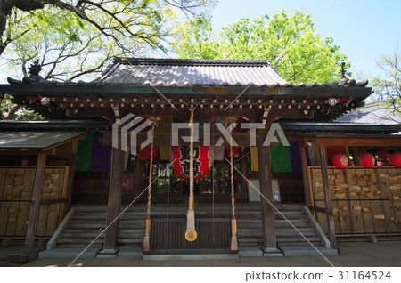 The eccentric strength immovable wrapping in fresh green 31164524