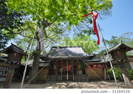 The eccentric strength immovable wrapping in fresh green 31164539