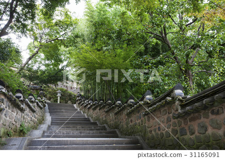 Bamboo，Beomeosa，Geumjeongsan，Geumjeong-gu，Busan 31165091