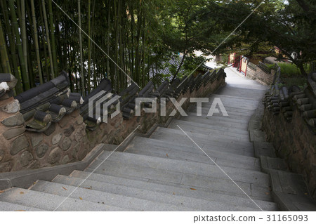 Bamboo，Beomeosa，Geumjeongsan，Geumjeong-gu，Busan 31165093