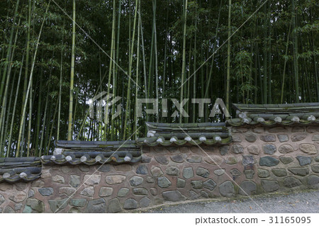 Bamboo，Beomeosa，Geumjeongsan，Geumjeong-gu，Busan 31165095