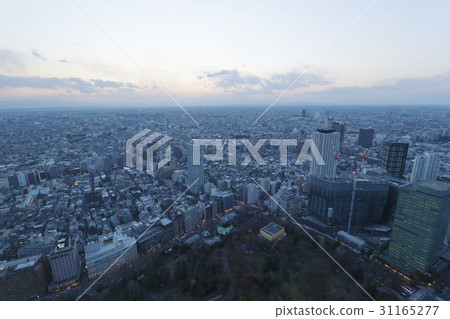 新宿公園，新宿，東京，日本 31165277