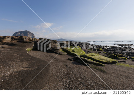 Sogalli Coast, Sanbangsan, Seogwipo City, Jeju Island 31165545