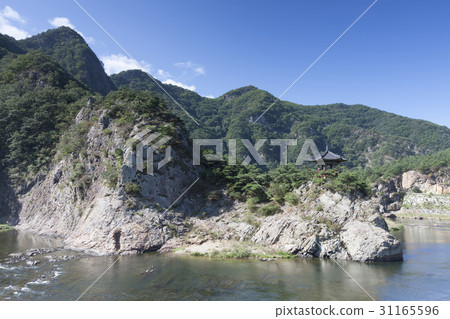 Yeongdong-gun, Chungbuk 31165596