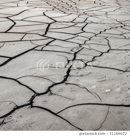 Drought, Gangseo-gu, Busan 31166072