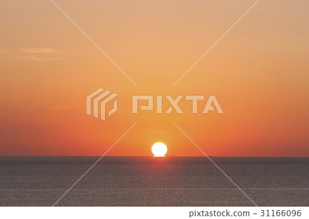 釜山南區 31166096