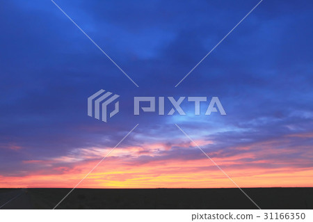 United States of America 31166350