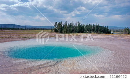 Yellowstone National Park, Wyoming, United States 31166432