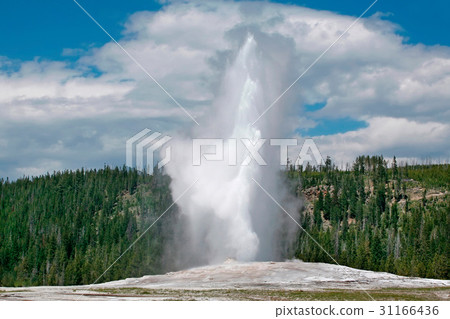 Yellowstone National Park, Wyoming, United States Yellowstone National Park, Wyoming, United States 31166436