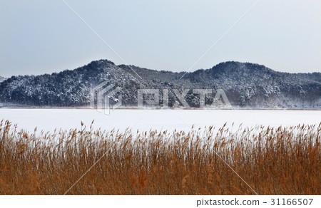 Goseong-gun, Gangwon-do 31166507