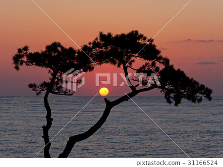 Gyujang-gun, Busan 31166524