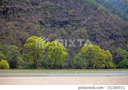 Nakdong River, Andong City, Gyeongbuk 31166551
