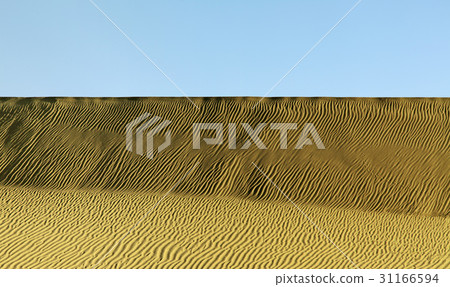 Arizona, United States 31166594