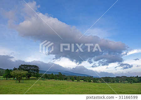 濟州島濟州島 31166599