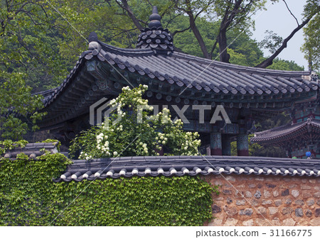 Sang Bong-sa, Hwasun-gun, Jeonnam 31166775