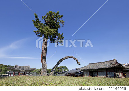 Ham In Jeong, Changgyeonggung, Jongno-gu, Seoul 31166956