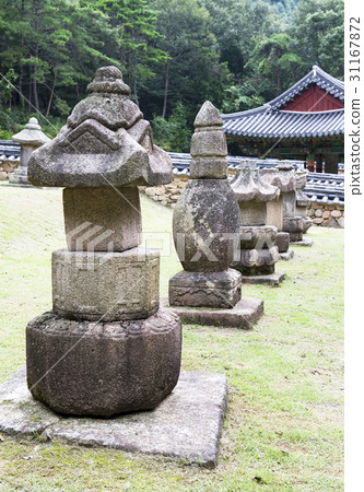 Budo，Dohjapa，靈巖郡，全南 31167872