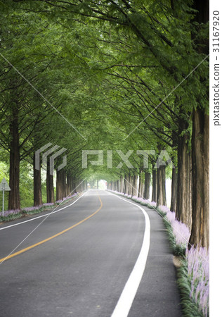Metasequire，Sunchang-gun，Jeonbuk 31167920