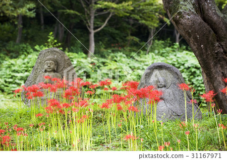 Flower pot, Yongcheon temple, Hampyeong-gun, Jeonnam 31167971