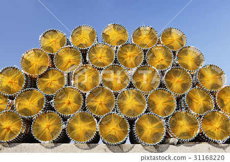 Tumor, Mokpo City, Jeonnam Tumor, Mokpo City, Jeonnam 31168220