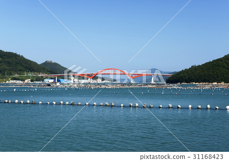 Farms, Bogil Bridge, Bogil-do, Wando-gun, Jeonnam 31168423