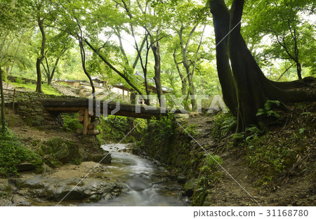 Hanggak-Ang，Sonwonwon，Damyang-gun，Jeonnam 31168780