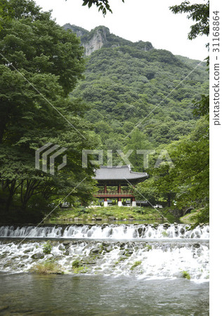 Ssanggyeol，Baekyangsa，Baekam Mountain，Changseong County，Jeonnam 31168864