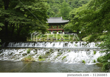 Ssanggyeol, Baekyangsa, Baekam Mountain, Changseong County, Jeonnam 31168865