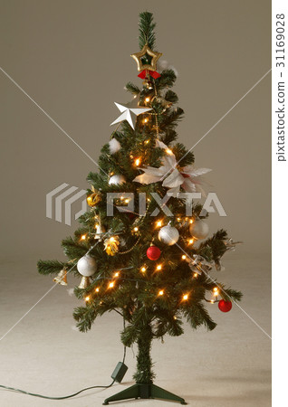 Christmas tree 31169028