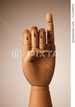 whitewood, timbering, compass timber 31169045