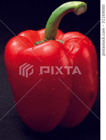 甜椒 甜椒 31169080