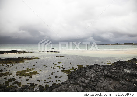 Sehwa Beach, Gucheong-eup, Jeju-si, Jeju-do 31169970