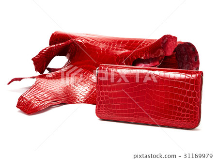 wallet wallet 31169979