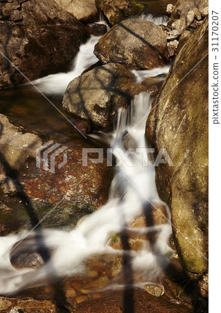 全羅工囌靈郡 31170207