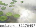 Yeonpyeong, Gangjiji, Siheung, Gyeonggi-do 31170457