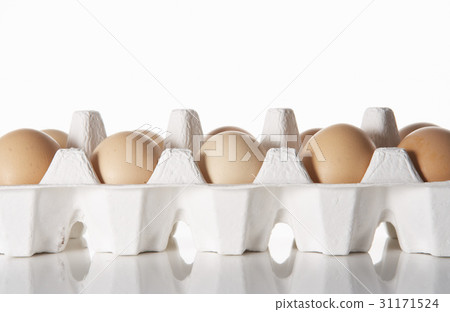egg 31171524