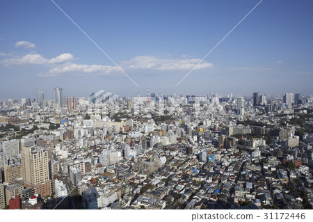 日本東京 31172446