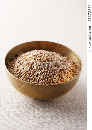 Sorghum Sorghum 31172872