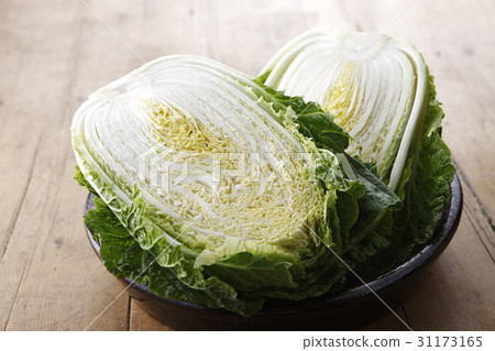 cabbage 31173165