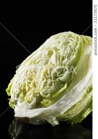 lettuce 31173675