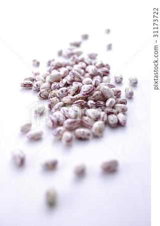 kidney bean 31173722