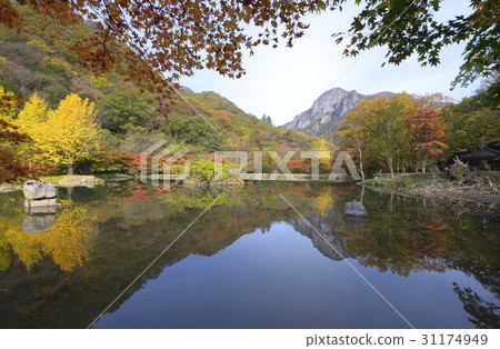Baekyangsa Temple, Baekam Mountain, Changseong County, Jeonnam 31174949