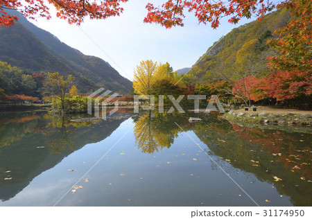 Baekyangsa Temple, Baekam Mountain, Changseong County, Jeonnam Baekyangsa Temple, Baekam Mountain, Changseong County, Jeonnam 31174950