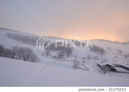 Sheep Ranch, Daegwallyeong, Pyeongchang-gun, Gangwon-do 31175013