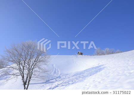 Sheep Ranch, Daegwallyeong, Pyeongchang-gun, Gangwon-do Sheep Ranch, Daegwallyeong, Pyeongchang-gun, Gangwon-do 31175022