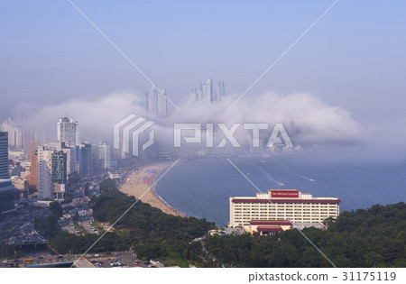 Westin Chosun Beach Hotel, Haeundae, Haeundae-gu, Busan 31175119